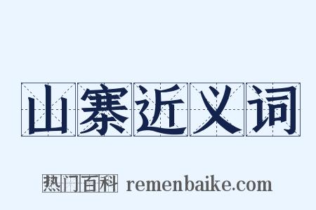 山寨近义词是什么意思的图片